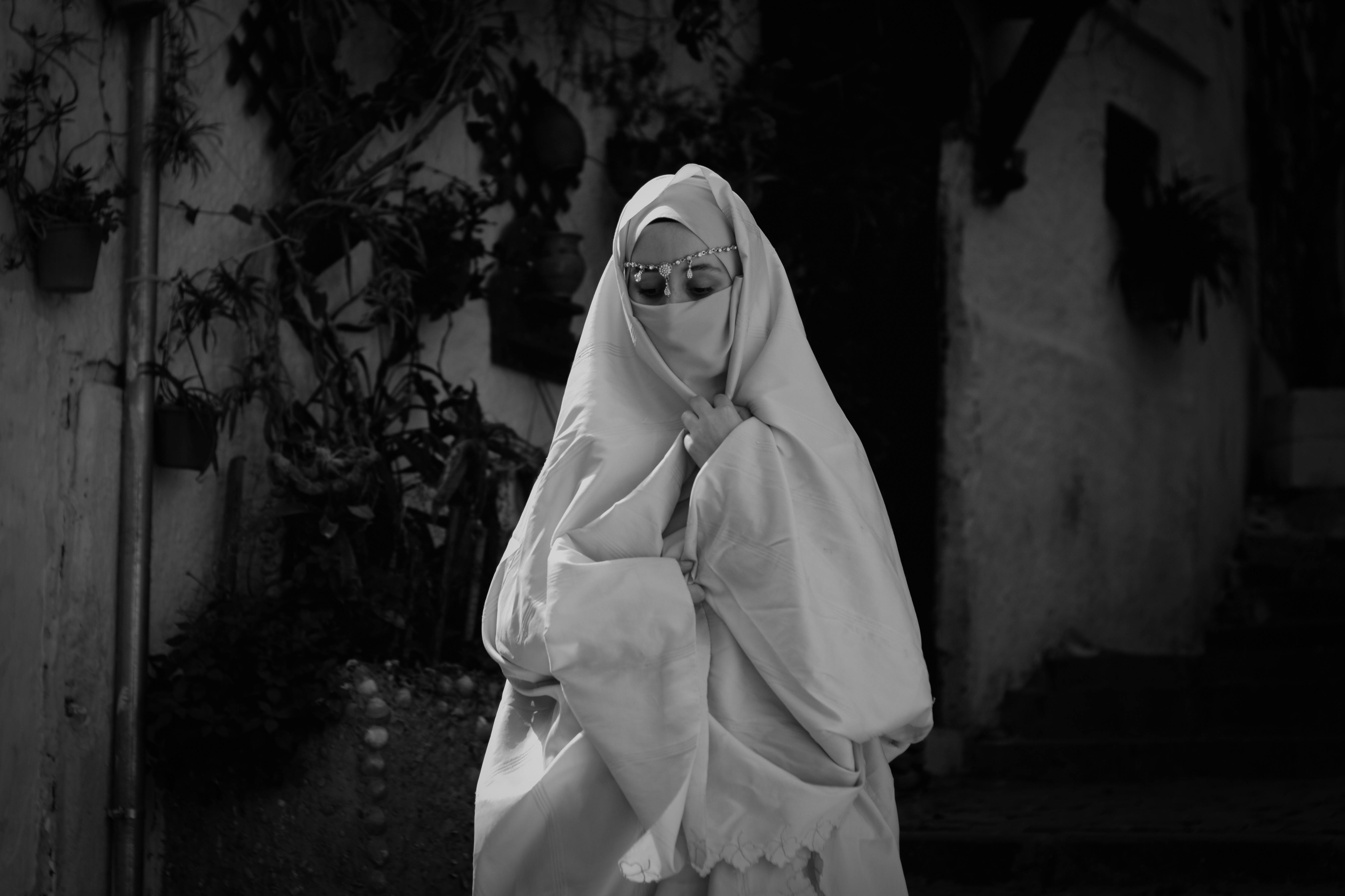 Algiers harbor and cityscape view